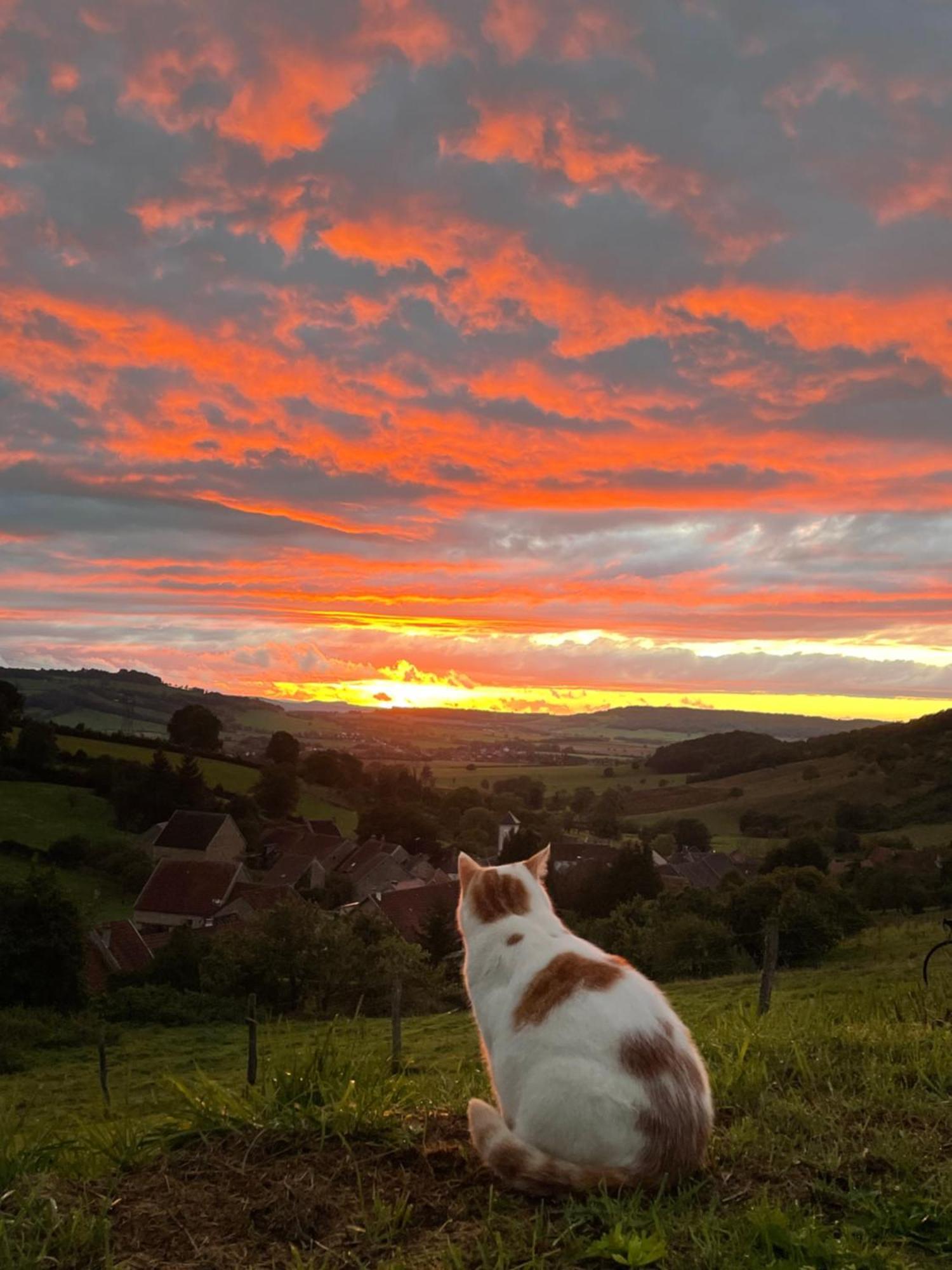 La Petite Maison Dans La Campagne Massingy-lès-Vitteaux Εξωτερικό φωτογραφία